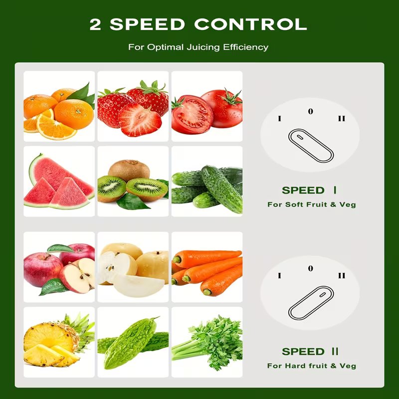 Stainless Steel Juicer Machine – Electric Fruit & Vegetable Juice Extractor